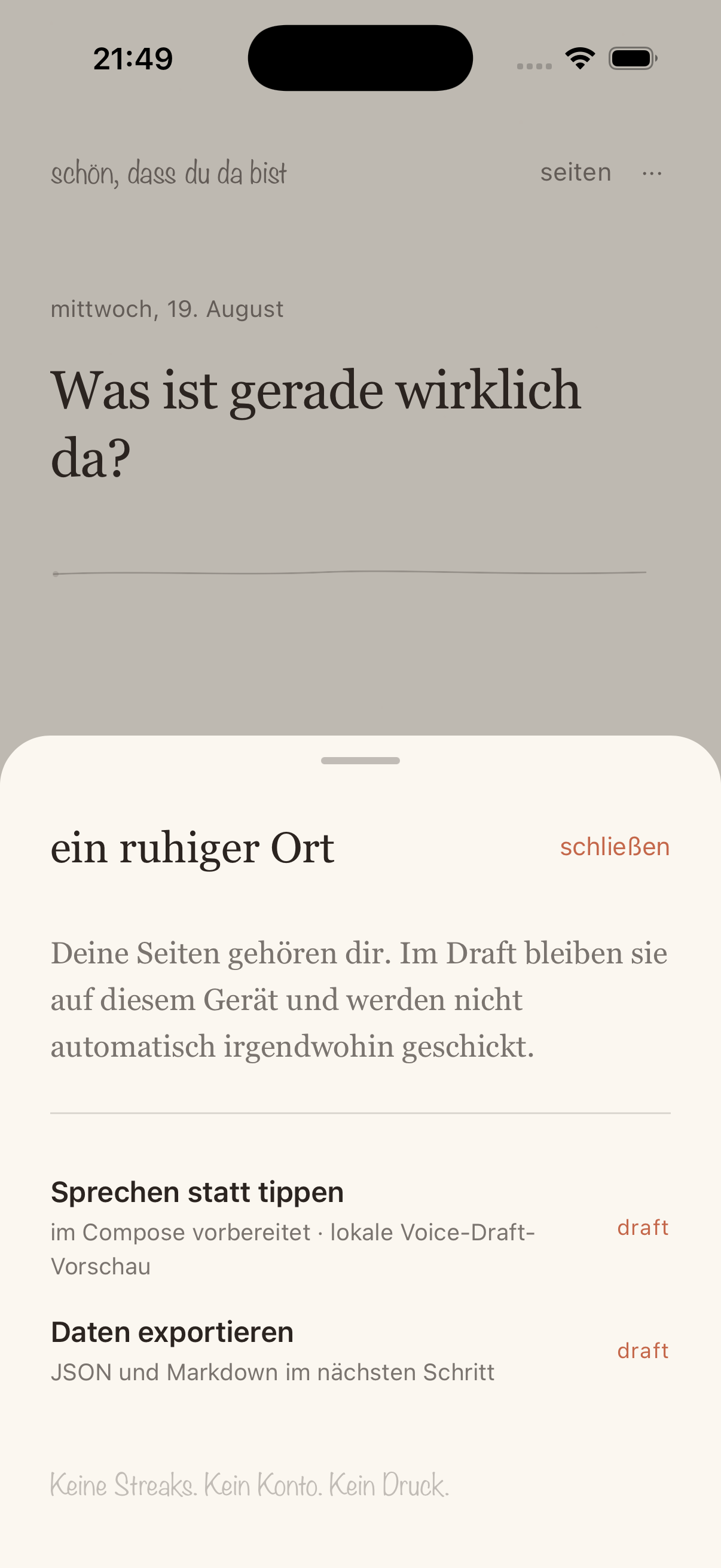 One Sentence settings screen showing language, local privacy, export, feedback, and delete controls.